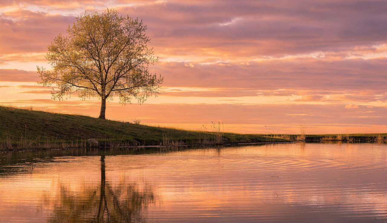 Comprendre la règle des tiers en photographie