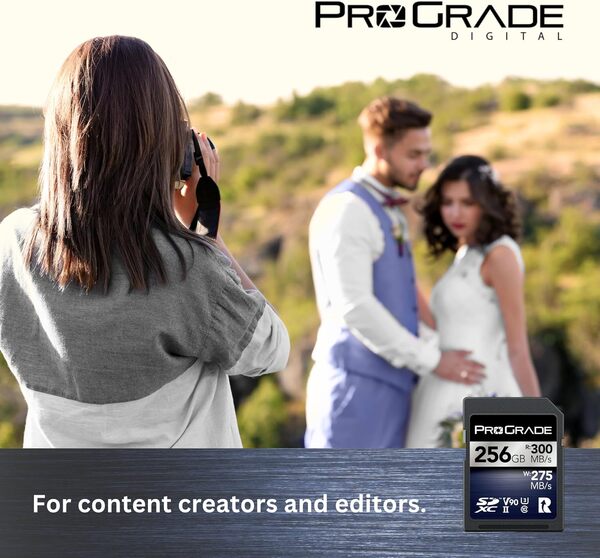 Carte Mémoire ProGrade Digital SDXC UHS-II V90 Iridium (256 Go)