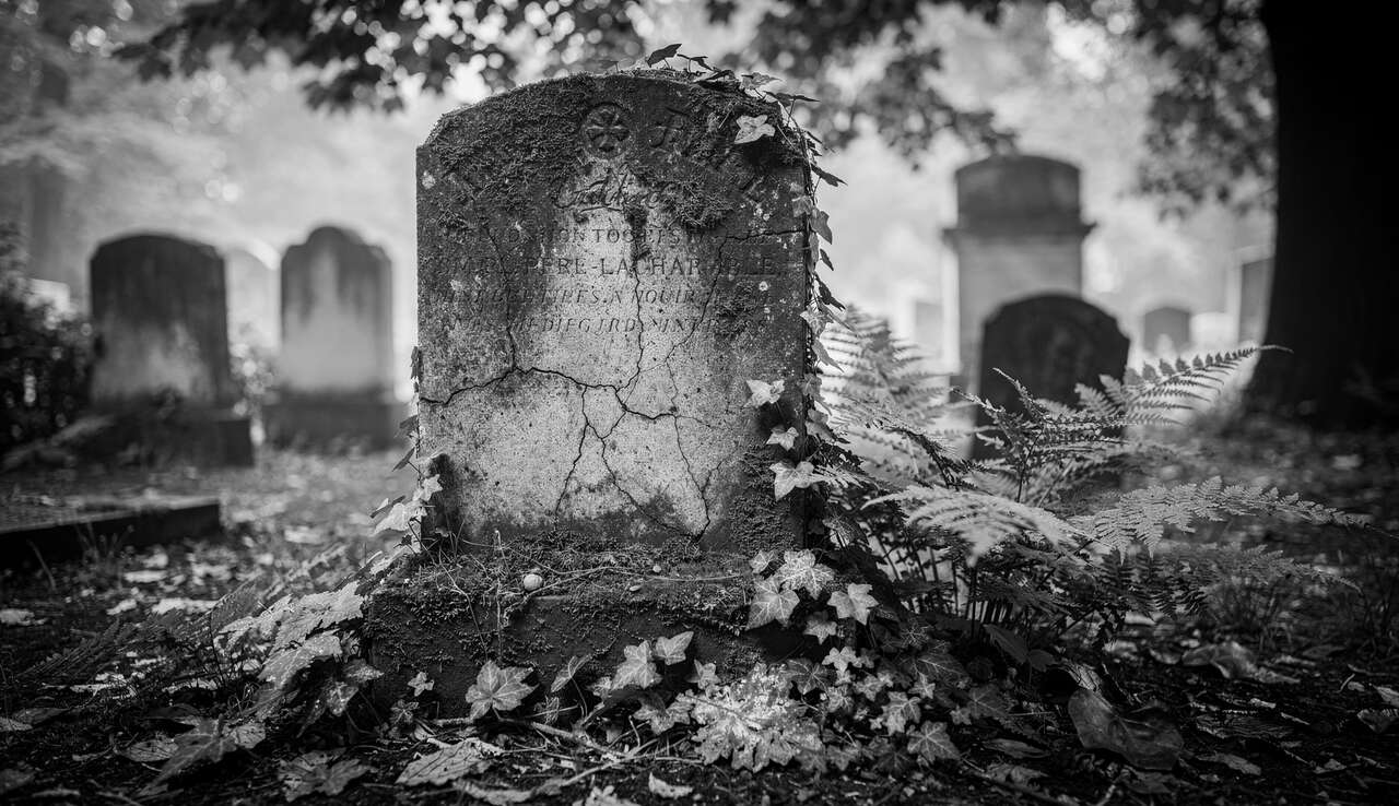 Conseils pour photographier en noir et blanc