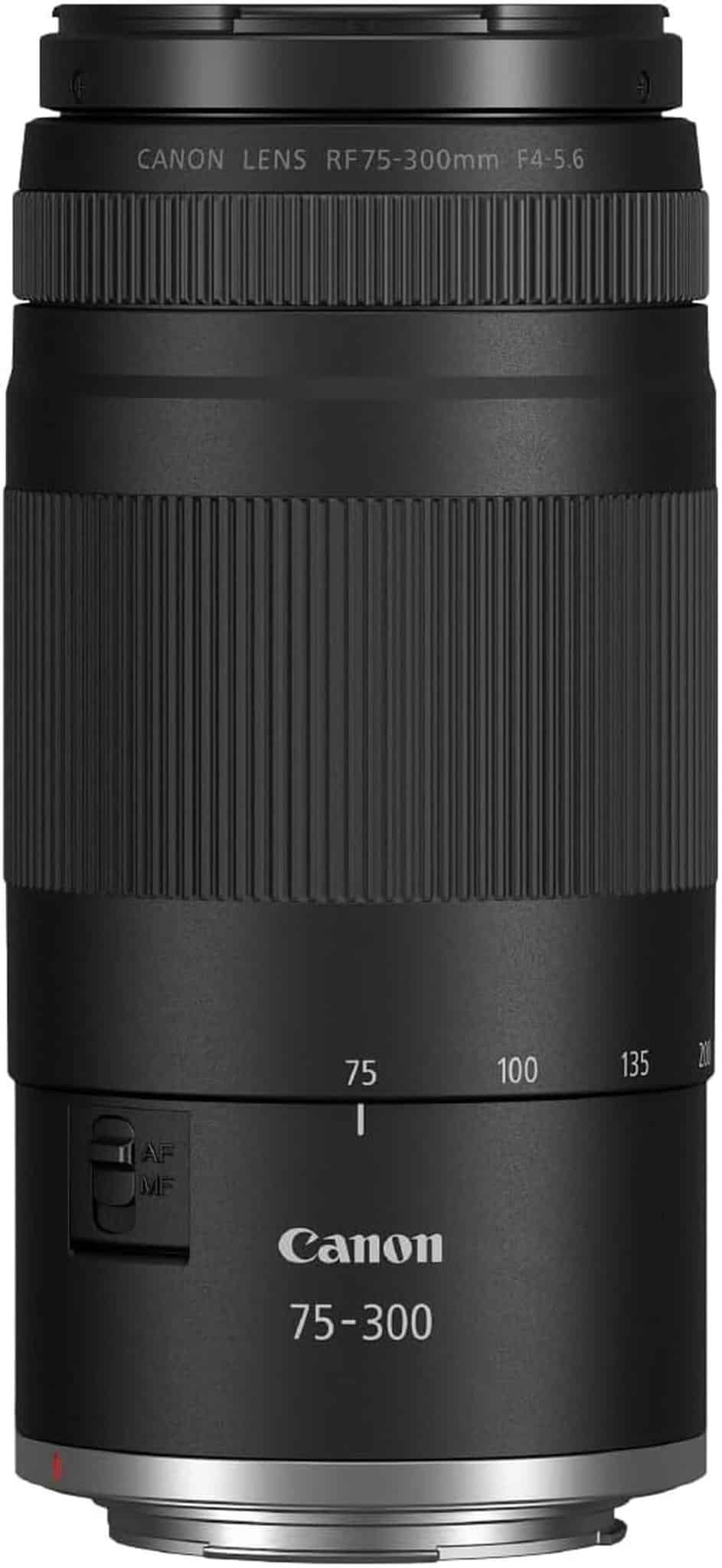 Test : objectif Canon RF 75-300mm, zoom idéal photo sport et animaux