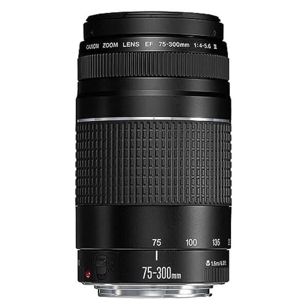 Découvrez notre test détaillé du Canon EF 75-300mm f/4.0-5.6 III : performances, qualité optique et verdict d'un objectif téléobjectif polyvalent pour reflex Canon.