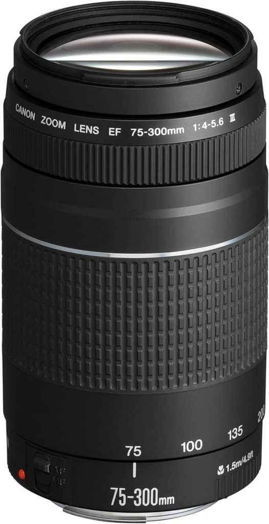 Test de l'objectif Canon EF 75-300mm f/4.0-5.6 III