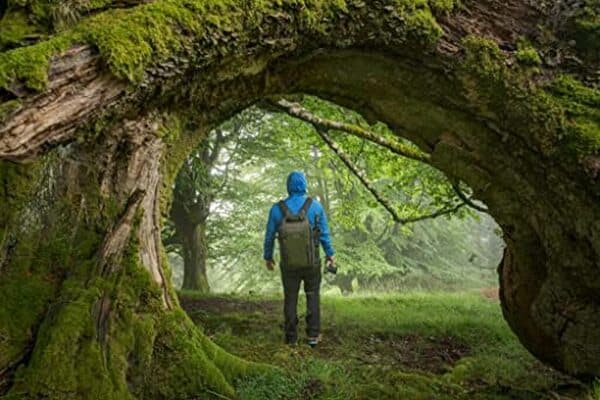 Découvrez notre test détaillé du sac à dos Veo Select 48BF de Vanguard : capacité, confort, qualité et performances pour les voyageurs exigeants. 