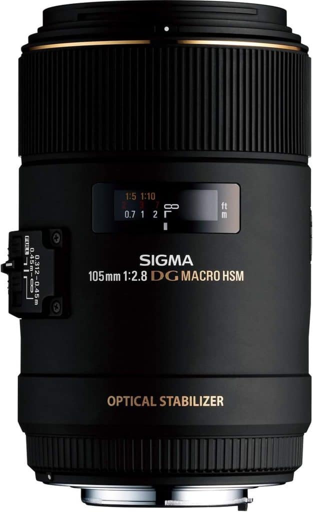 Test : objectif Sigma 105 mm F2, 8 DG OS HSM pour Canon